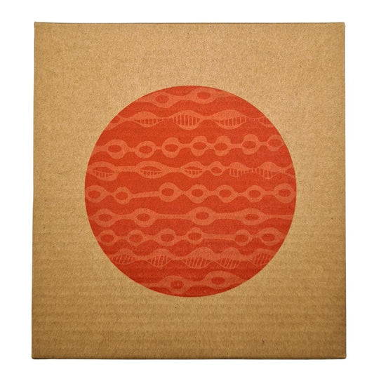 Kowhai Seed Collection - Red